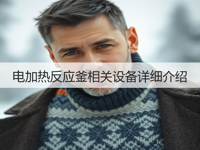 电加热反应釜相关设备详细介绍(图2) 电加热反应釜相关设备详细介绍(图2)