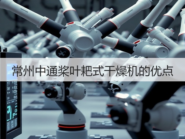 常州中通桨叶耙式干燥机的优点(图2)