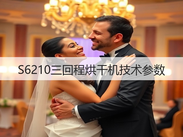 S6210三回程烘干机技术参数(图2) S6210三回程烘干机技术参数(图2)