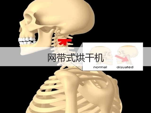 网带式烘干机(图3) 网带式烘干机(图3)