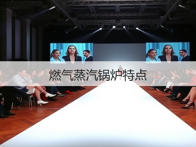 燃气蒸汽锅炉特点(图3)