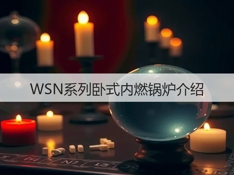 WSN系列卧式内燃锅炉介绍 WSN系列卧式内燃锅炉介绍