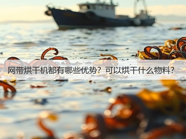 网带烘干机都有哪些优势?可以烘干什么物料?(图2) 网带烘干机都有哪些优势?可以烘干什么物料?(图2)