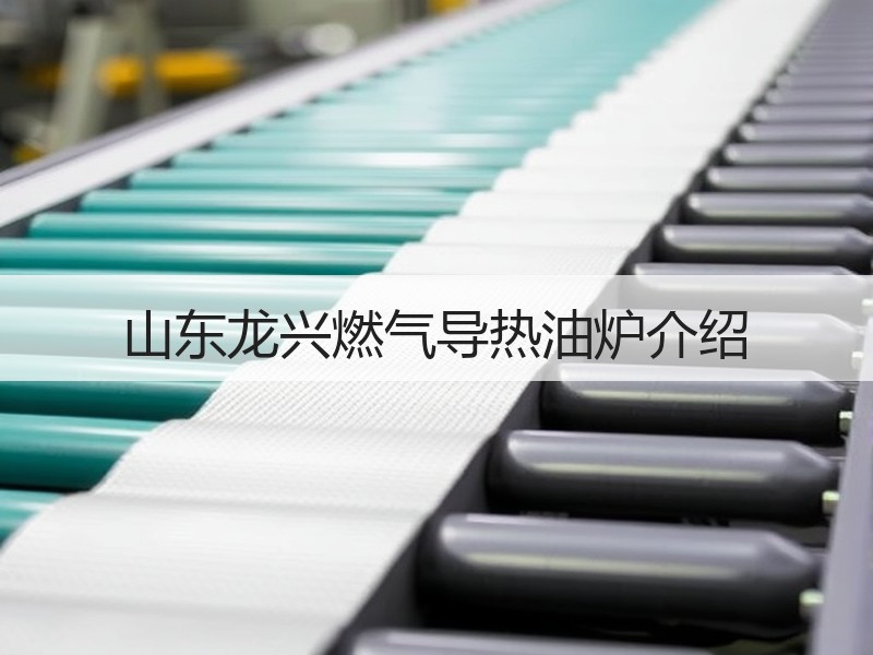 山东龙兴燃气导热油炉介绍 山东龙兴燃气导热油炉介绍