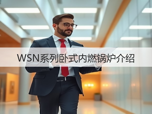 WSN系列卧式内燃锅炉介绍(图2) WSN系列卧式内燃锅炉介绍(图2)