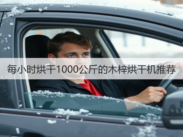 每小时烘干1000公斤的木梓烘干机推荐(图2) 每小时烘干1000公斤的木梓烘干机推荐(图2)