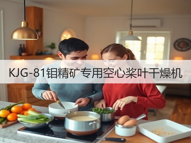 KJG-81钼精矿专用空心桨叶干燥机(图1)