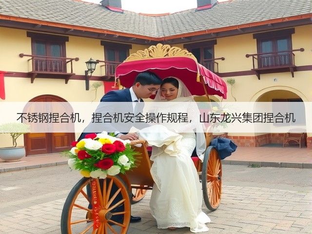 不锈钢捏合机，捏合机安全操作规程，山东龙兴集团捏合机(图3)