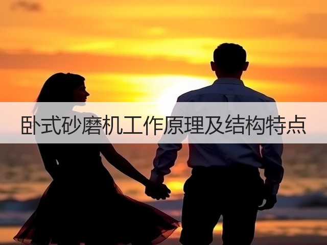 卧式砂磨机工作原理及结构特点(图2) 卧式砂磨机工作原理及结构特点(图2)