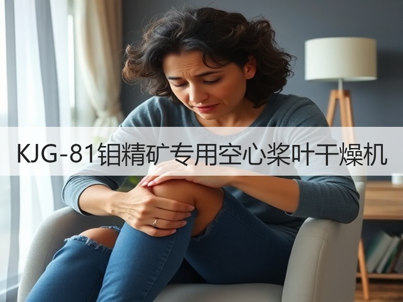 KJG-81钼精矿专用空心桨叶干燥机