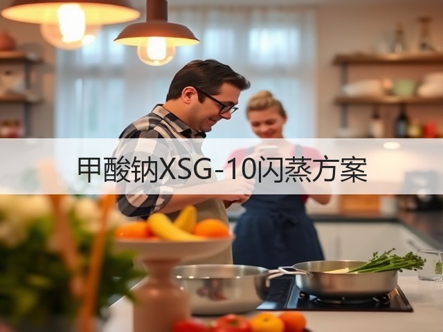 甲酸钠XSG-10闪蒸方案(图3) 甲酸钠XSG-10闪蒸方案(图3)
