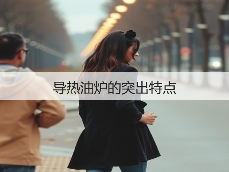 导热油炉的突出特点 导热油炉的突出特点