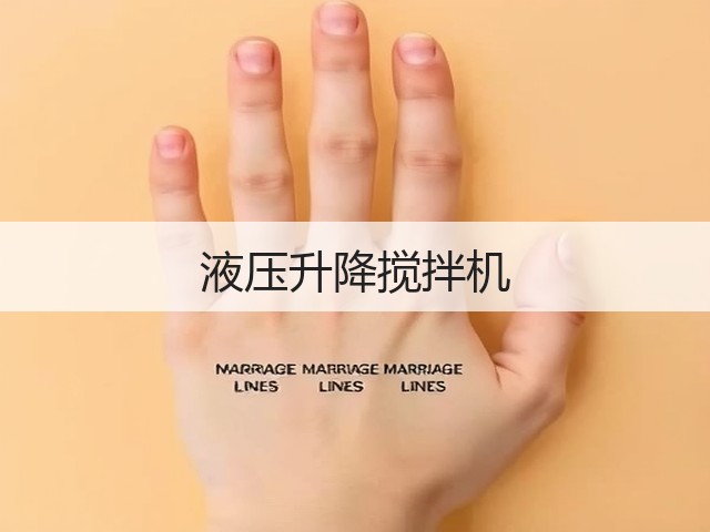 液压升降搅拌机(图1)