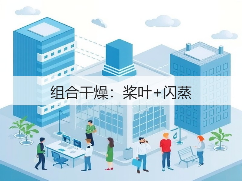 组合干燥:桨叶+闪蒸 组合干燥:桨叶+闪蒸