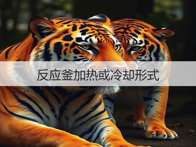 反应釜加热或冷却形式(图2) 反应釜加热或冷却形式(图2)