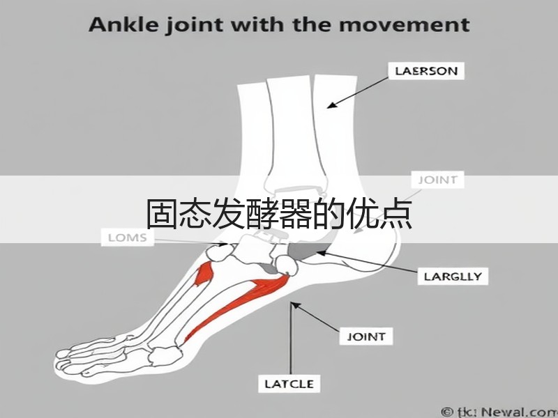 固态发酵器的优点 固态发酵器的优点