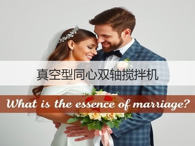 真空型同心双轴搅拌机(图3) 真空型同心双轴搅拌机(图3)