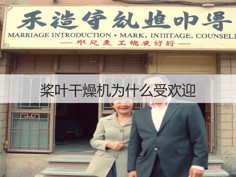 桨叶干燥机为什么受欢迎 桨叶干燥机为什么受欢迎