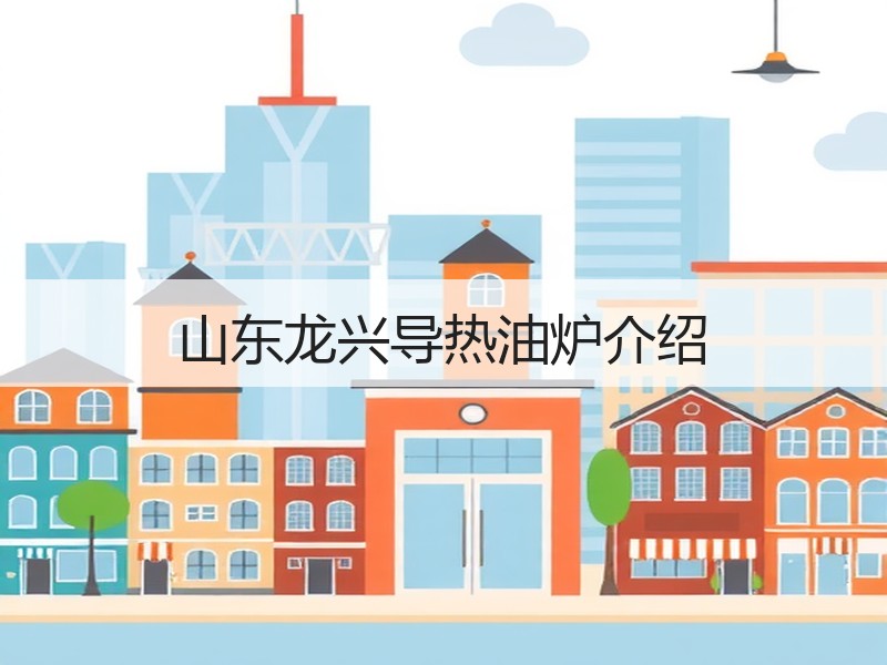 山东龙兴导热油炉介绍