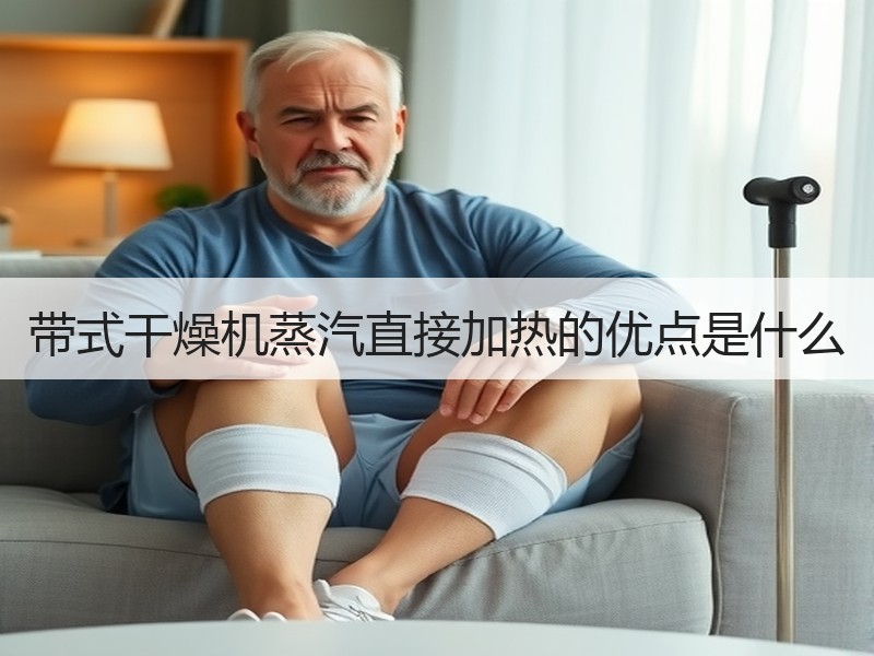 带式干燥机蒸汽直接加热的优点是什么 带式干燥机蒸汽直接加热的优点是什么