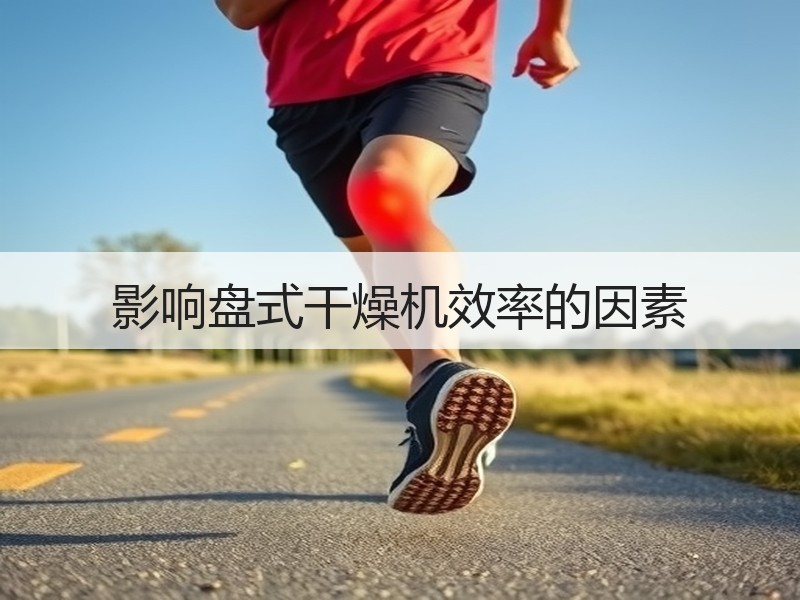 影响盘式干燥机效率的因素