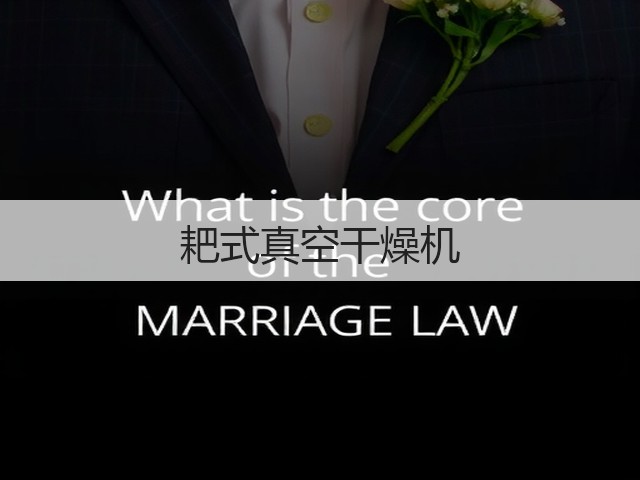 耙式真空干燥机(图2) 耙式真空干燥机(图2)