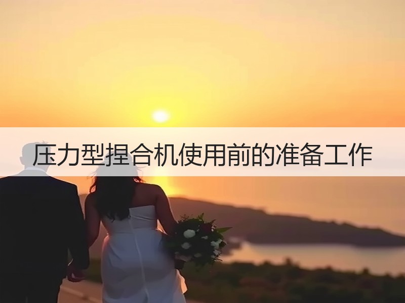 压力型捏合机使用前的准备工作