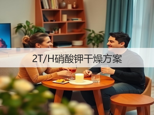 2T/H硝酸钾干燥方案(图2)