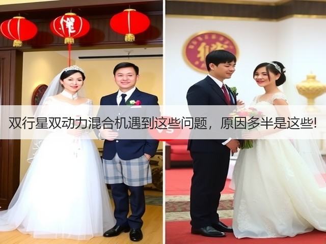 双行星双动力混合机遇到这些问题,原因多半是这些!(图2) 双行星双动力混合机遇到这些问题,原因多半是这些!(图2)