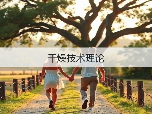 干燥技术理论(图2) 干燥技术理论(图2)