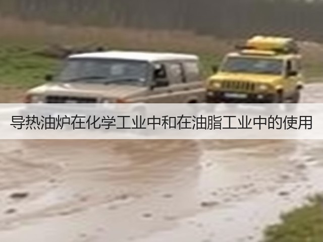 导热油炉在化学工业中和在油脂工业中的使用(图3)