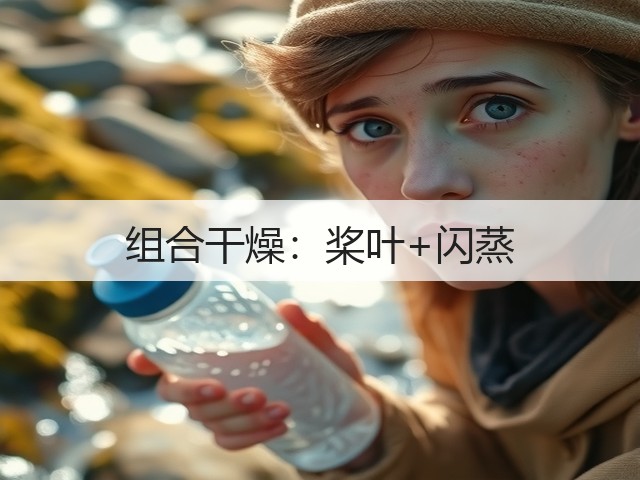 组合干燥：桨叶+闪蒸(图3)