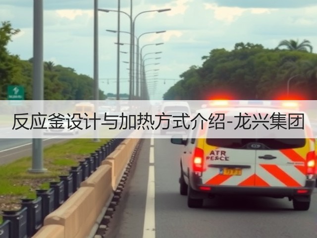 反应釜设计与加热方式介绍-龙兴集团(图1)