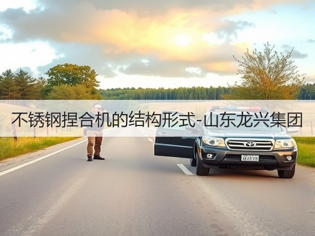 不锈钢捏合机的结构形式-山东龙兴集团(图2)