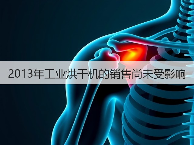 2013年工业烘干机的销售尚未受影响(图1) 2013年工业烘干机的销售尚未受影响(图1)