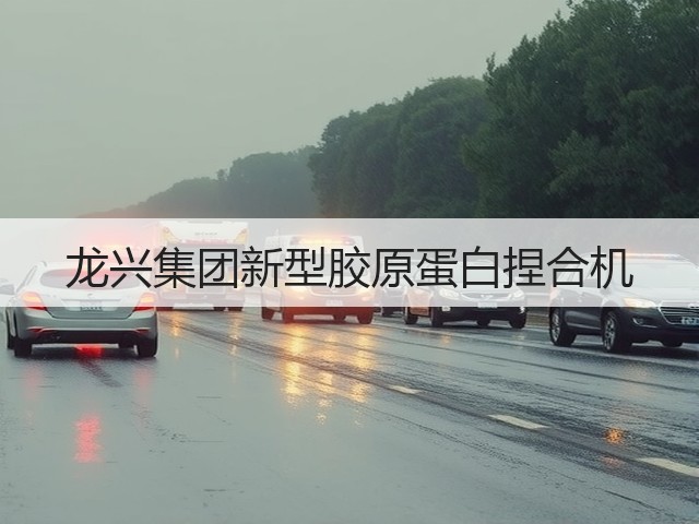 龙兴集团新型胶原蛋白捏合机(图2) 龙兴集团新型胶原蛋白捏合机(图2)