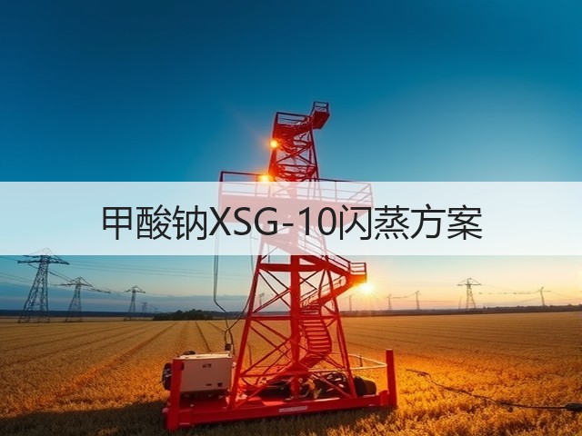 甲酸钠XSG-10闪蒸方案(图1) 甲酸钠XSG-10闪蒸方案(图1)