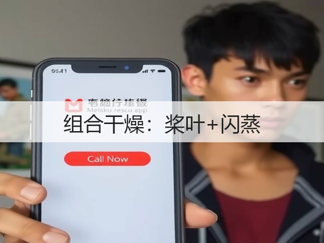 组合干燥：桨叶+闪蒸(图1)