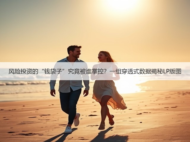 风险投资的“钱袋子”究竟被谁掌控？一组穿透式数据揭秘LP版图(图3)