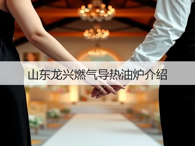 山东龙兴燃气导热油炉介绍