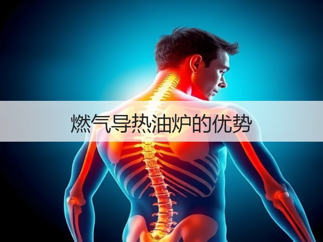 燃气导热油炉的优势(图1) 燃气导热油炉的优势(图1)