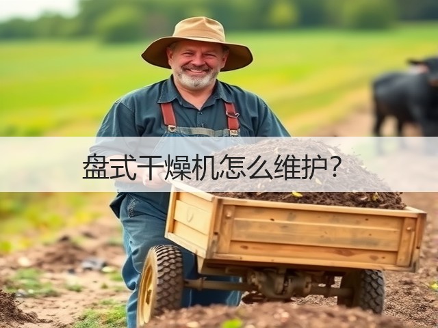 盘式干燥机怎么维护?(图2) 盘式干燥机怎么维护?(图2)