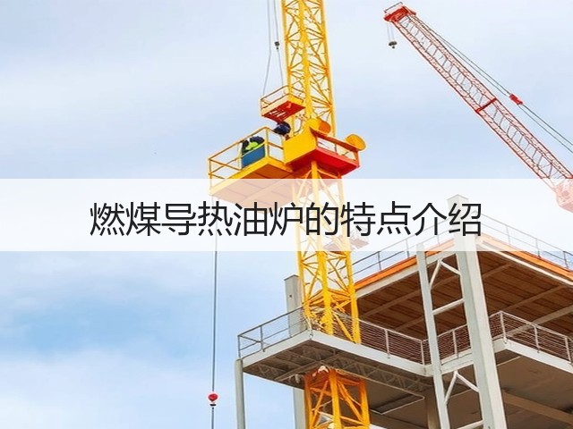燃煤导热油炉的特点介绍(图3) 燃煤导热油炉的特点介绍(图3)