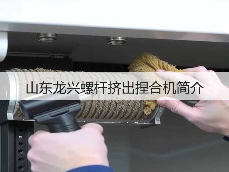 山东龙兴螺杆挤出捏合机简介