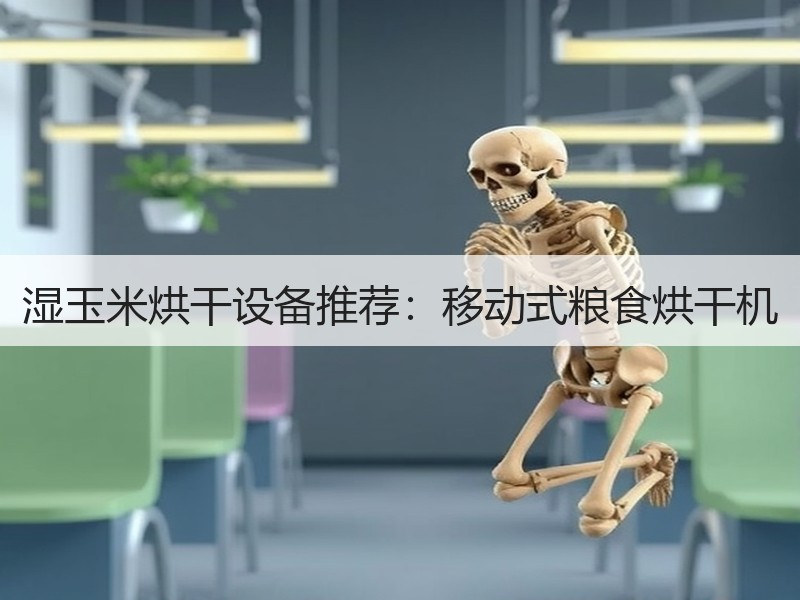 湿玉米烘干设备推荐：移动式粮食烘干机