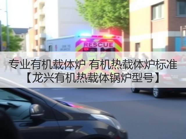 专业有机载体炉 有机热载体炉标准 【龙兴有机热载体锅炉型号】(图2)