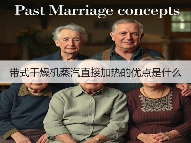 带式干燥机蒸汽直接加热的优点是什么(图2) 带式干燥机蒸汽直接加热的优点是什么(图2)