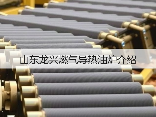 山东龙兴燃气导热油炉介绍(图2)