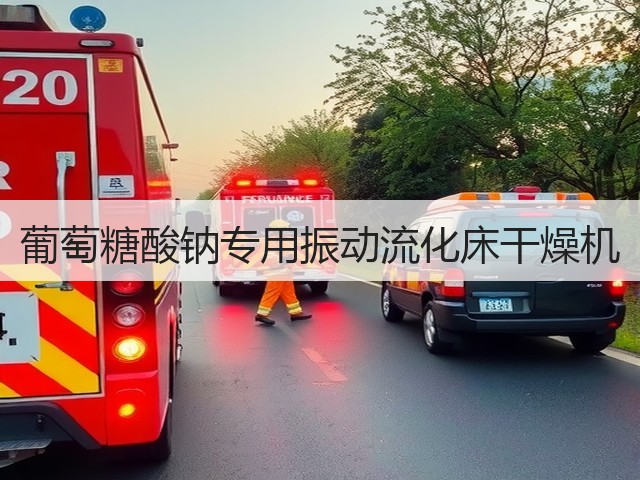 葡萄糖酸钠专用振动流化床干燥机(图2) 葡萄糖酸钠专用振动流化床干燥机(图2)