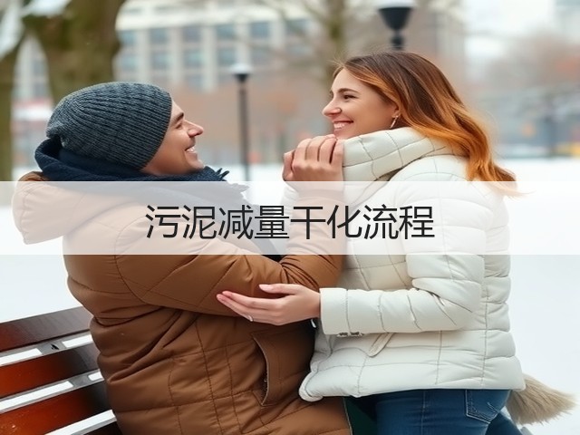 污泥减量干化流程(图1)